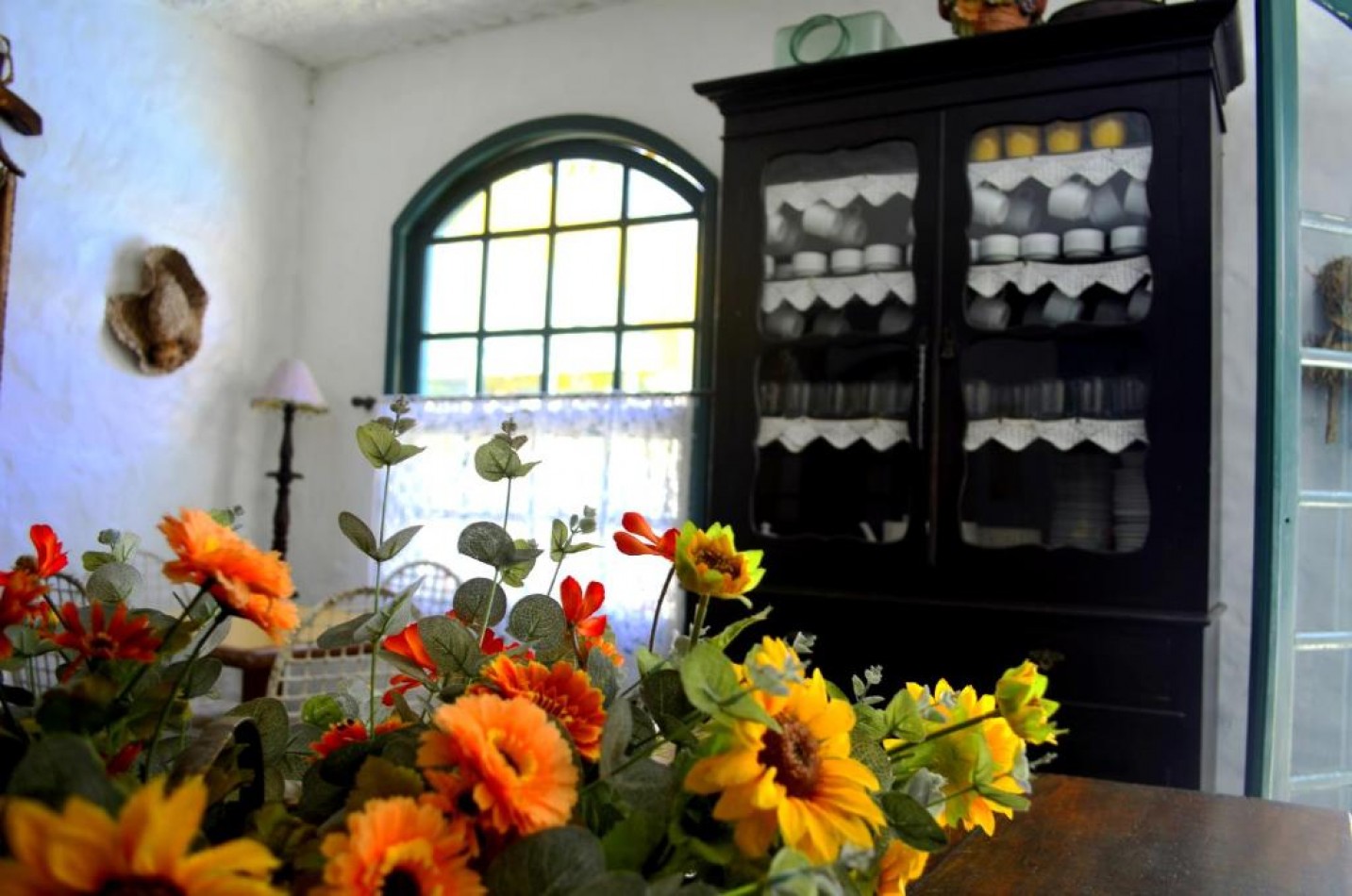 Suites en posada a (0.70) del mar en Canasvieiras